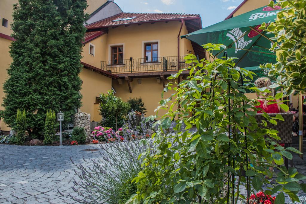 Pension Viktorin Poděbrady エクステリア 写真